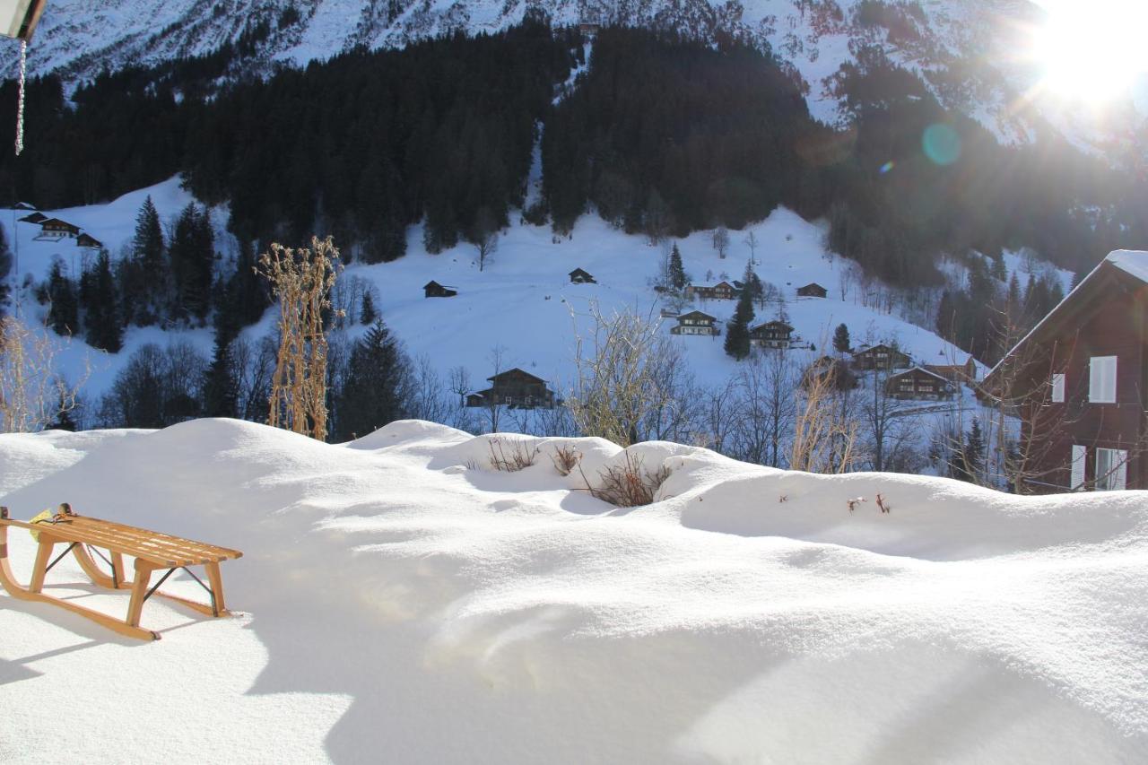 Chalet Pfingsteggblick Grindelwald Ngoại thất bức ảnh
