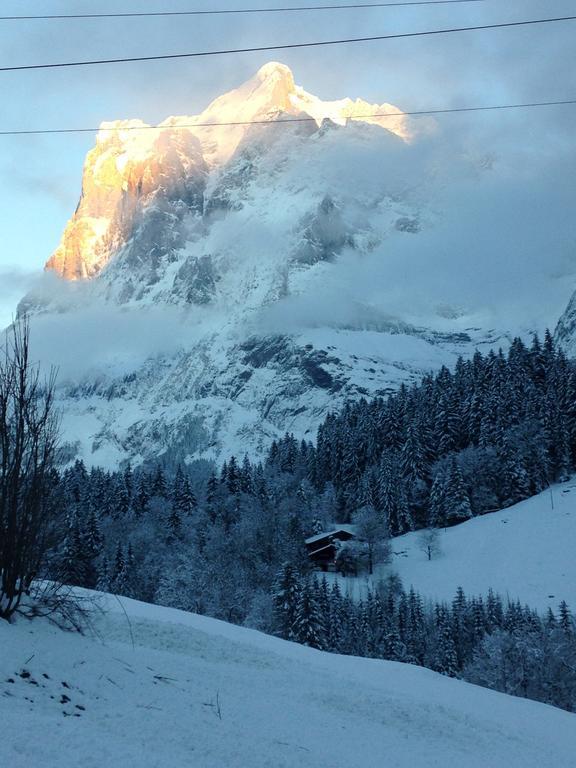 Chalet Pfingsteggblick Grindelwald Ngoại thất bức ảnh
