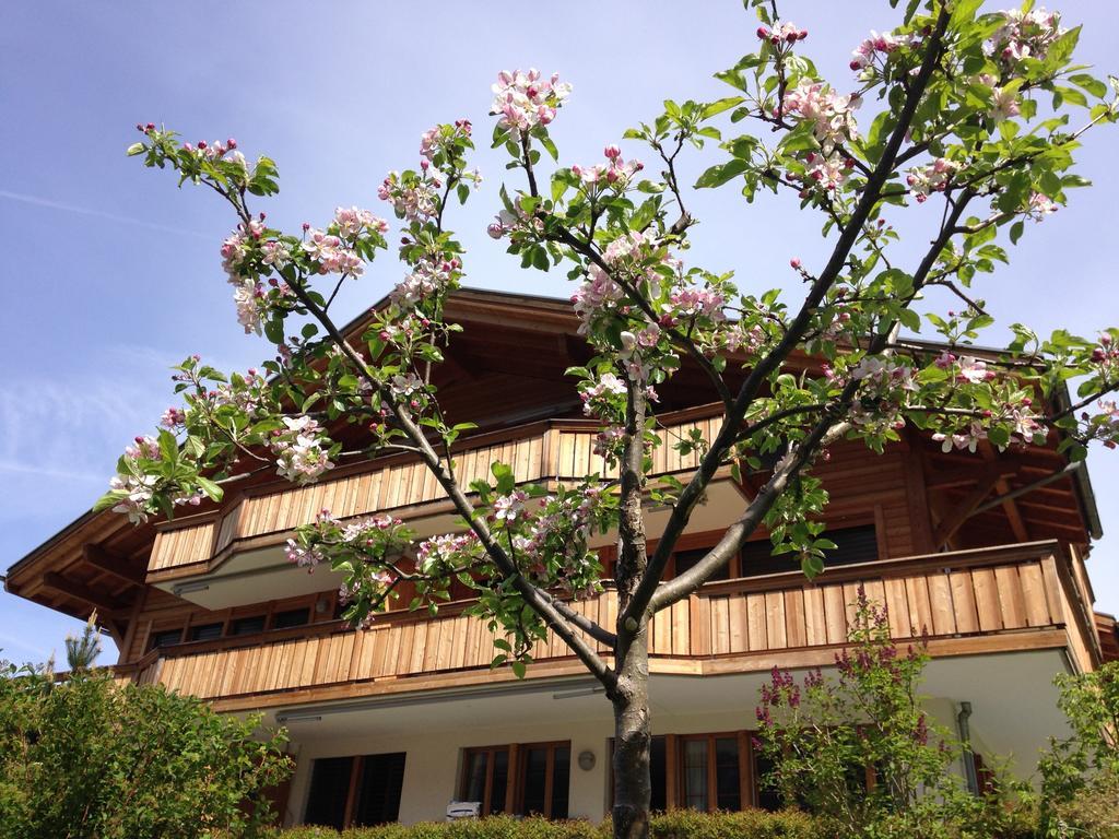 Chalet Pfingsteggblick Grindelwald Ngoại thất bức ảnh